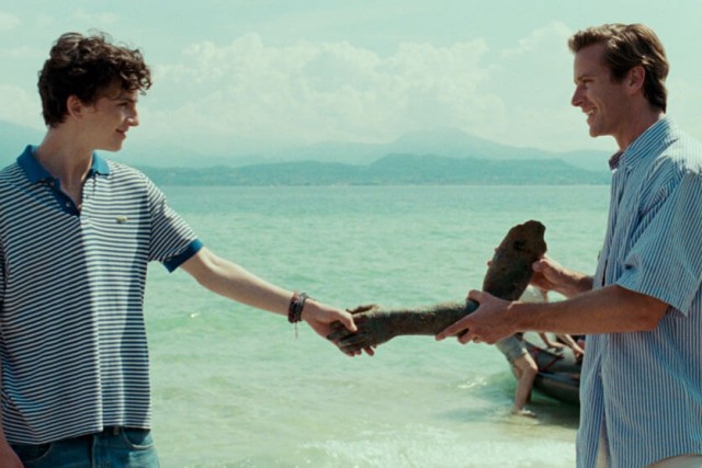 Elio (Timothe Chalamet) and Oliver (Armie Hammer) share a moment as they both hold the arm of an old sculpture washed up and discovered.