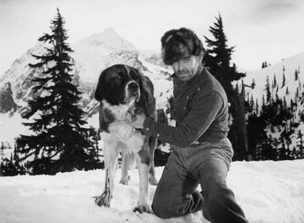 Jack Thornton (Clark Gable) loves his dog, a large St. Bernard named Buck, in the 1935 filming of Jack London's "The Call of the Wild."