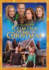 Coming Home for Christmas (2013) DVD cover art -- click to buy from Amazon.com