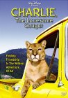 Charlie, the Lonesome Cougar