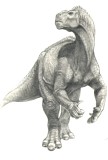 Conceptual artwork of Kron from his Character Design gallery.