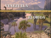 Footage from different continents comes together to create a prehistoric world.