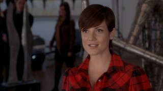 Zoe McLellan's character, Lisa George, becomes more relevant in Season Two. Unfortunately, that new relevance comes at the price of an unnatural story arc.