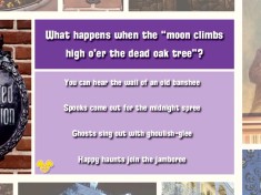 This Haunted Mansion question represents the difficulty of the Advanced level in the Wonderful World of Disneyland Trivia Game.