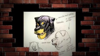 Bruce McNally's tough dog character sketches are the first of ten images in the DVD's Original Movie Concept Art gallery video.