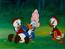 Donald tricks his nephews into believing he's found the fountain of youth.