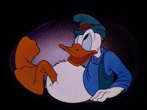 Donald in "Contrary Condor."