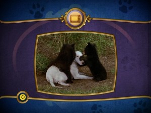 What are those bears doing to that poor old dog? I don't know, but I had to bear witness to the act every time I played.