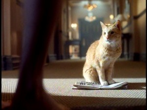 The mysterious orange tabby cat and the enchanted early newspaper simply show up outside Gary's hotel room or wherever else he's staying.