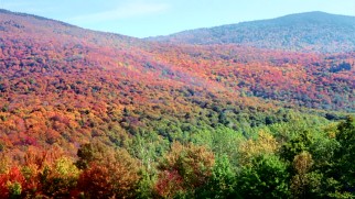Seasons change before our eyes through of the magic of "Earth"'s mobile time-lapse photography effects.