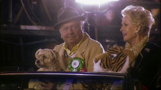 "Christmas in Tinseltown" is celebrated in grand fashion with the Hollywood Christmas Parade offering glimpses of celebrities like Dick Van Patten, seen here with his dog, his wife, and her tiger.