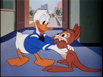 "Daddy Duck" is one of the better shorts on the set, even if the audio/video quality isn't quite up to par.