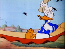 Insects really don't like Donald, do they?