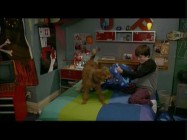 In the alternate ending, we see the Pillow Wall destroyed as a boy and his dog get ready for bed.