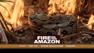 The titular Amazonian fire may not feature much in the film, but it does enliven the DVD's main menu montage.
