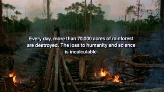 This socially responsible closing message is a non sequitur following the movie's nonsensical finale.