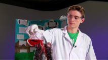 Callan McAuliffe comes to the rescue with scientific materials for anyone who wants to know "How to Make the Best Volcano."