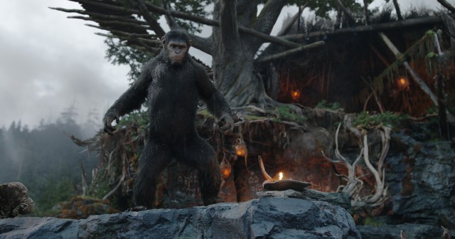 Caesar is the leader of ape nation in "Dawn of the Planet of the Apes."