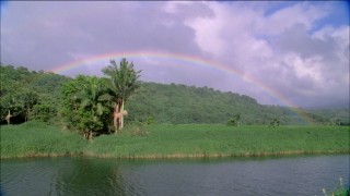 Three music videos treat us to rainbows and other beautiful Hawaiian imagery.