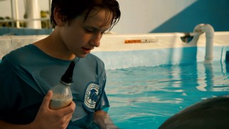Shy boy Sawyer Nelson (Nathan Gamble) comes out his shell as a companion to an injured dolphin.