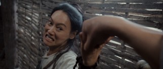 An irate woman (Wai Ying Hung, a.k.a. Kara Hui) comes after Jin-xi in a lively farm fight.