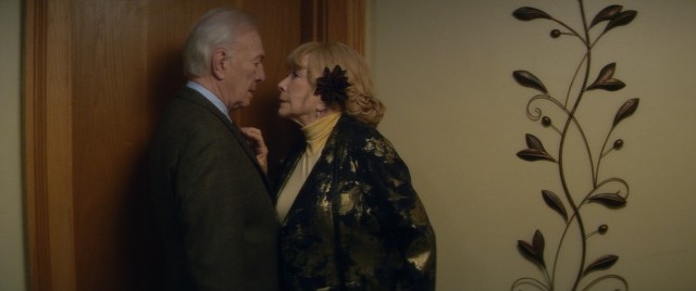 Elderly next door neighbors Fred (Christopher Plummer) and Elsa (Shirley MacLaine) become lovers in the US remake "Elsa & Fred."