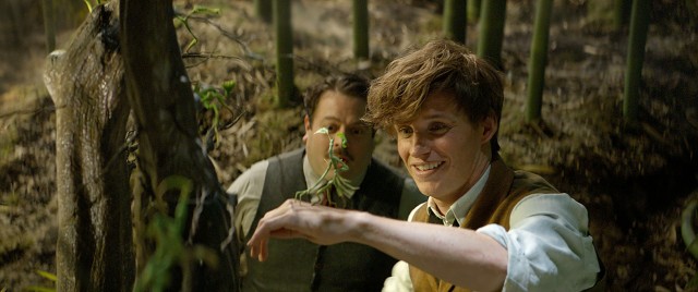 Newt Scamander (Eddie Redmayne) and Jacob Kowalski (Dan Fogler) stop to admire a fantastic beast known as a Bowtruckle.