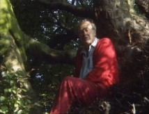 Roald Dahl sits up in "Witch's Tree", the giant beech at his Gipsy House estate that was the inspiration for Mr. Fox's home.