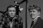On the Waterfront: The Criterion Collection Blu-ray Review