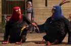 Free Birds Blu-ray + DVD + Digital HD UltraViolet Review