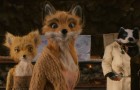 Fantastic Mr. Fox: The Criterion Collection Blu-ray + DVD Review