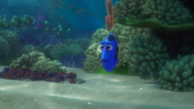 The amnesiac blue tang Dory goes searching for her parents and gets lost in Disney/Pixar's "Finding Dory."