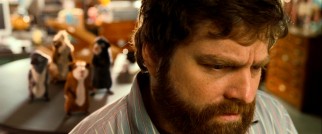Based on his fine dramatic work as TV's "The Snuggler", actor Tairy Greene (a.k.a. Zach Galifianakis) is the perfect choice to play straight man to rodents.