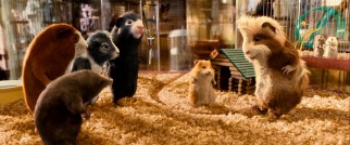 Relocated to an L.A. pet shop cage, the G-Force commandoes meet Bucky (voiced by Steve Buscemi), a defensive critter with suspected ferret ancestry, and Hurley (Jon Favreau), the big carefree type.