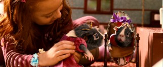 Just because she's a female doesn't meet that Juarez (voiced by Penelope Cruz) enjoys getting dressed up and having her nails polished pink by temporary owner Penny (Piper Mackenzie Harris).