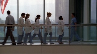 Bailey leads her interns through one of Seattle Grace's more scenic spots.