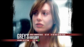 Meredith appears among the montage of the animated Main Menu.