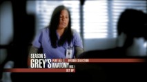 Callie's (Sara Ramirez) one chance to get her picture in this review and she closes her eyes on Disc 5's main menu montage. Oh, Callie!
