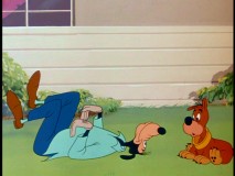 Two dogs, one playing dead in "Man's Best Friend."