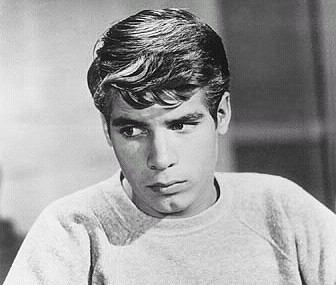 Don Grady on the popular and long-running sitcom "My Three Sons."