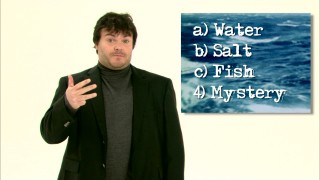 Jack Black sports a turtleneck of authority to reprise the character of Lemuel Gulliver in the original short "I Don't Know."