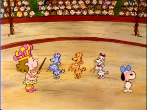 Miss Polly's well-trained poodles are joined by an embarrassed, blushing, bow-tied beagle in "Life is a Circus, Charlie Brown."