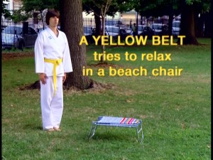 A yellow belt using his karate skills on everyday tasks is one of the recurring sketches featured on Demetri Martin's show.