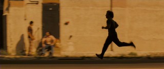 Run, Papale, run!