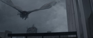 M.U.T.O.s have one clear advantage over Godzilla: they can fly!
