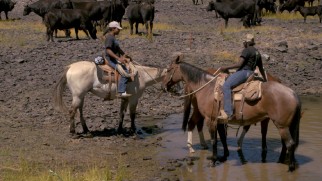 In "Following the T-Rex Trail", the filmmakers observe an Oregon family of cattle herders as a model for the T-Rex family in the movie.