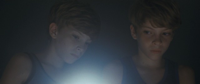 In the Austrian horror film "Goodnight Mommy", twin brothers Lukas and Elias (Lukas and Elias Schwarz) are convinced that someone has replaced their mother.
