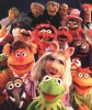 "The Muppet Show": Season 1 comes to DVD on August 9. Click to read the press release.