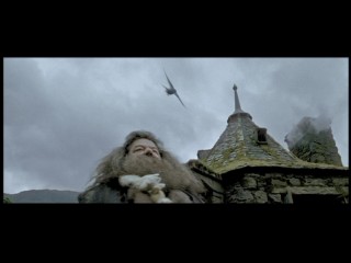 Hagrid (Robbie Coltrane) gets bothered by a bird in this short, meaningless deleted scene found in "Trelawney's Crystal Ball."