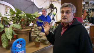 As part of his creature shop tour, special makeup effects designer Nick Dudman and his colleague demonstrate the remote-controlled mandrakes.